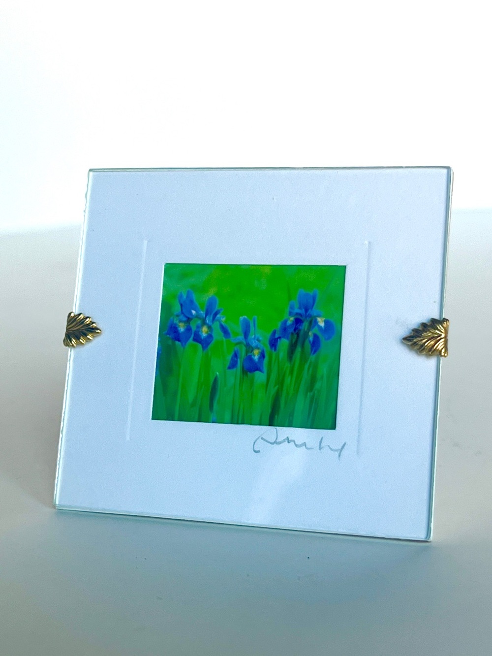 Artist signed “Brook Iris”. Mini  photo print by Proehl Studios California